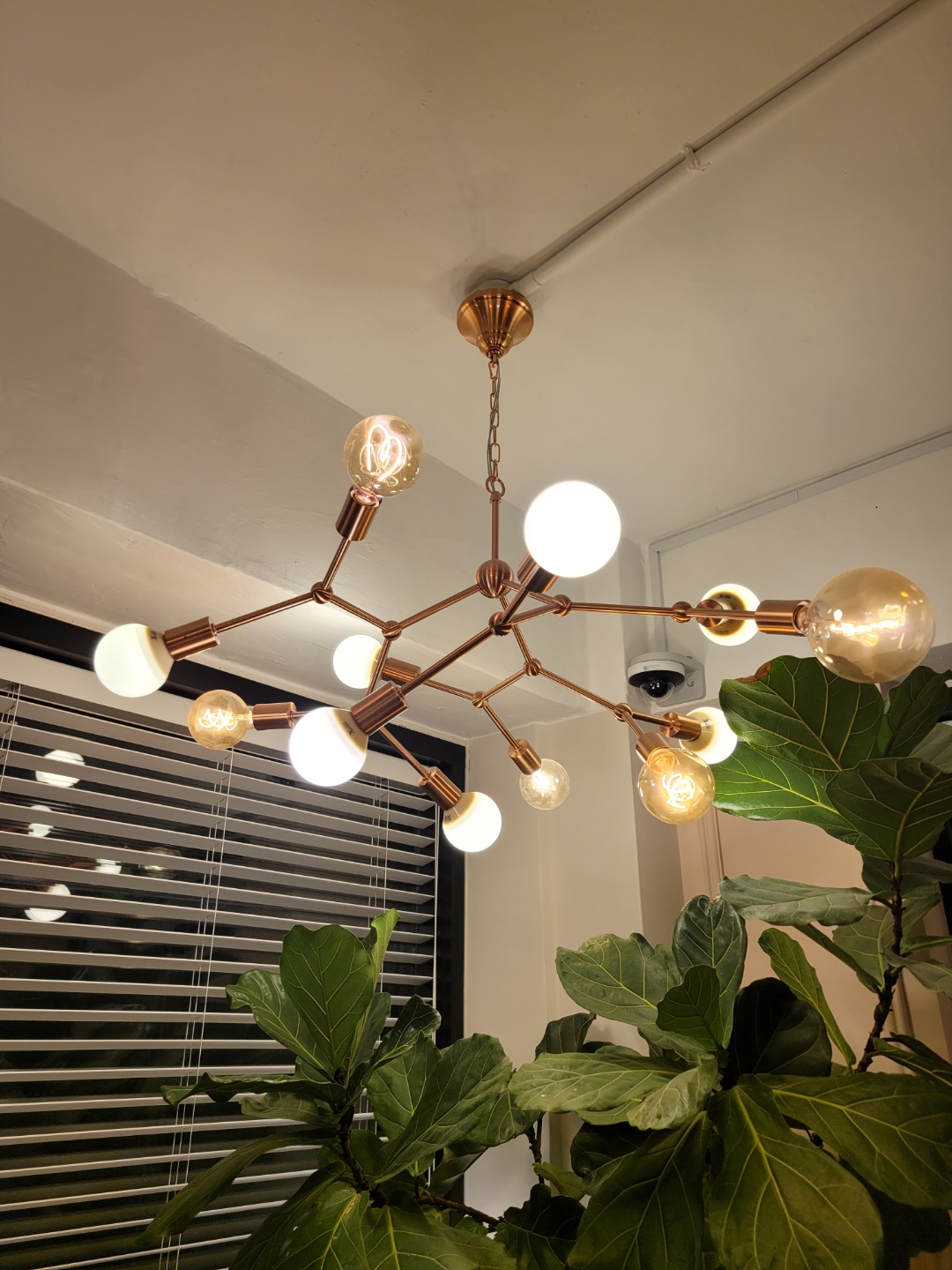 39aa197643770a4d56f57b6417b8f212_1756354534_6477.jpg 39aa197643770a4d56f57b6417b8f212_1756354534_6477.jpg