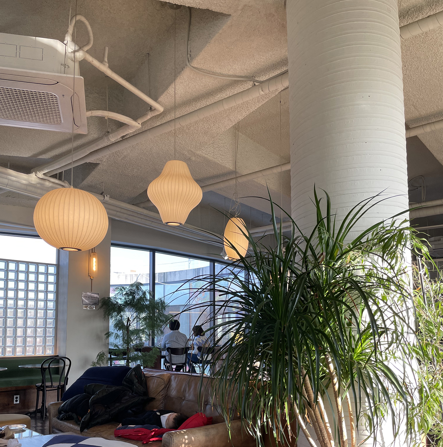 39aa197643770a4d56f57b6417b8f212_1756355361_4145.jpg 39aa197643770a4d56f57b6417b8f212_1756355361_4145.jpg