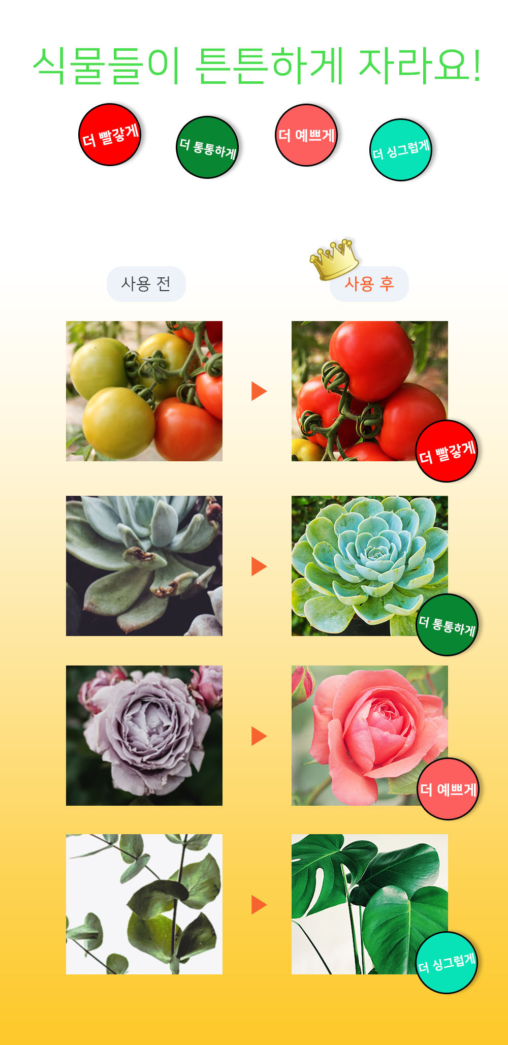 93f2b100d7f185928f51b56edeeefa2f_1755824029_42.jpg 93f2b100d7f185928f51b56edeeefa2f_1755824029_42.jpg