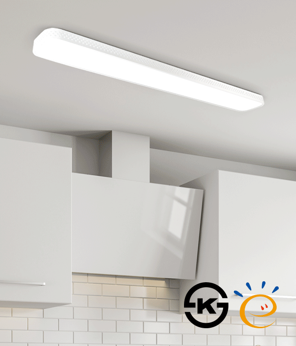 로치 2등 고효율 주방등 주방조명 50W